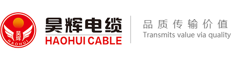 山東陽谷龙八国际官方网站有限公司
